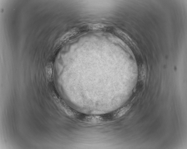 X0000085740427200704131650