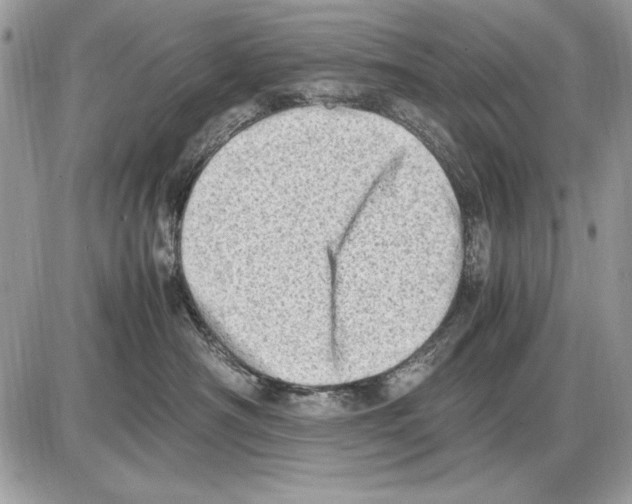 X0000085740430200704131649