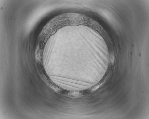 X0000085740431200704131649