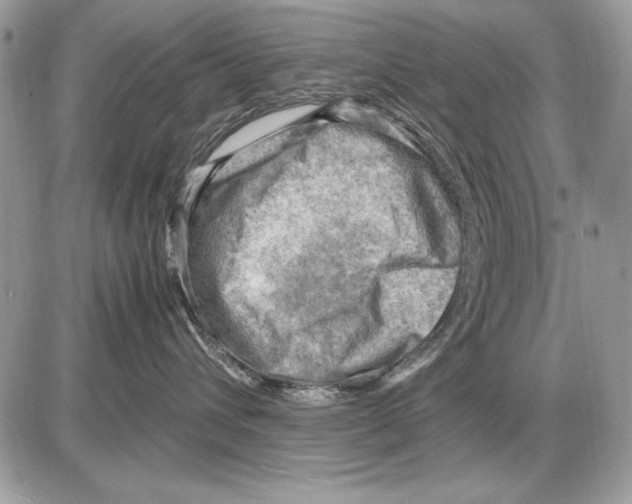 X0000085740432200704131649