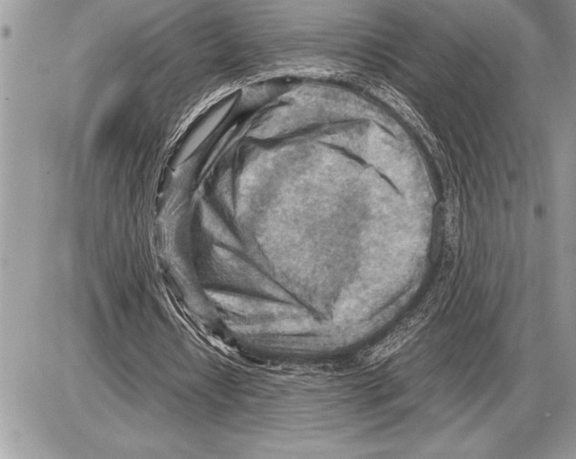 X0000085740434200704131649
