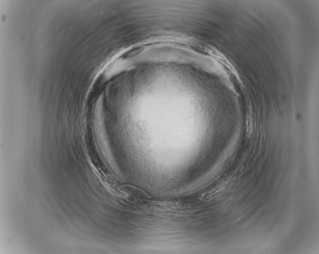 X0000085740436200704131649