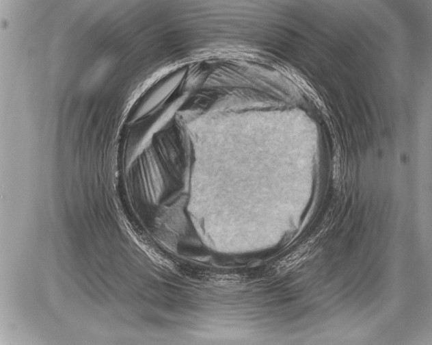 X0000085740438200704131649