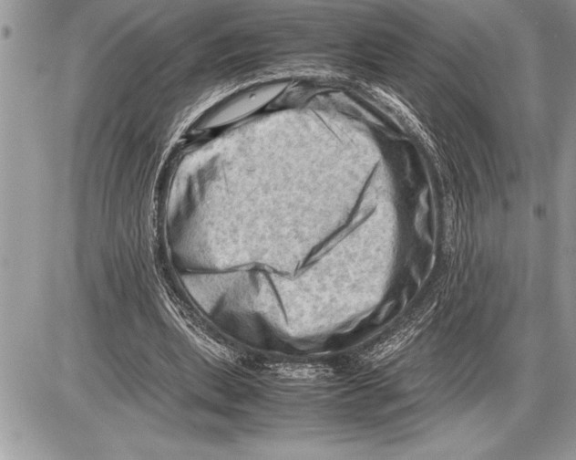 X0000085740439200704131649