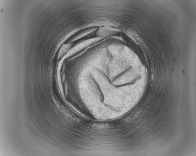 X0000085740440200704131649