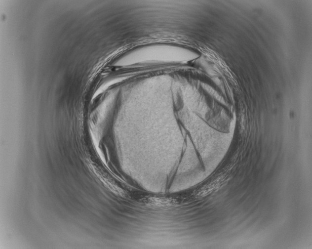 X0000085740442200704131649