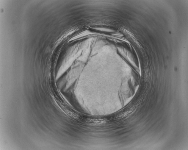 X0000085740443200704131649