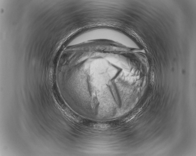 X0000085740444200704131649
