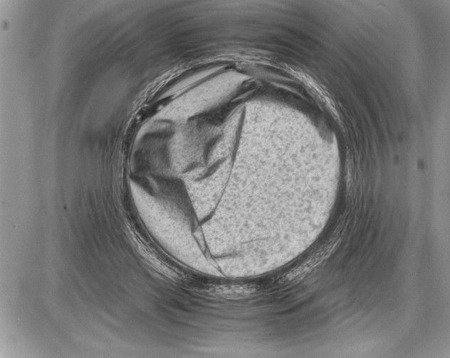 X0000085740445200704131649