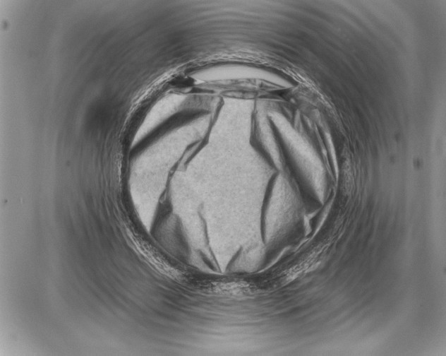 X0000085740446200704131649