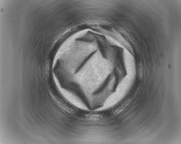 X0000085740448200704131649