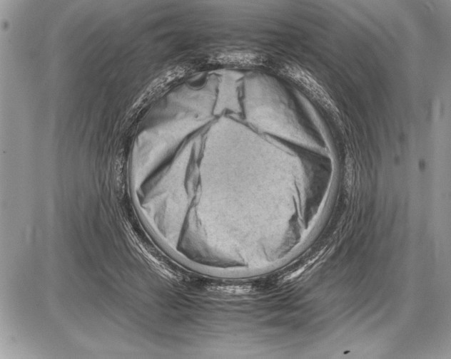 X0000085740449200704131649