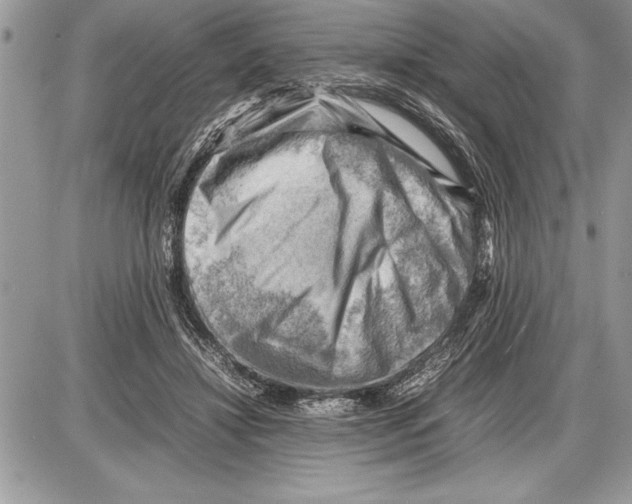 X0000085740452200704131649