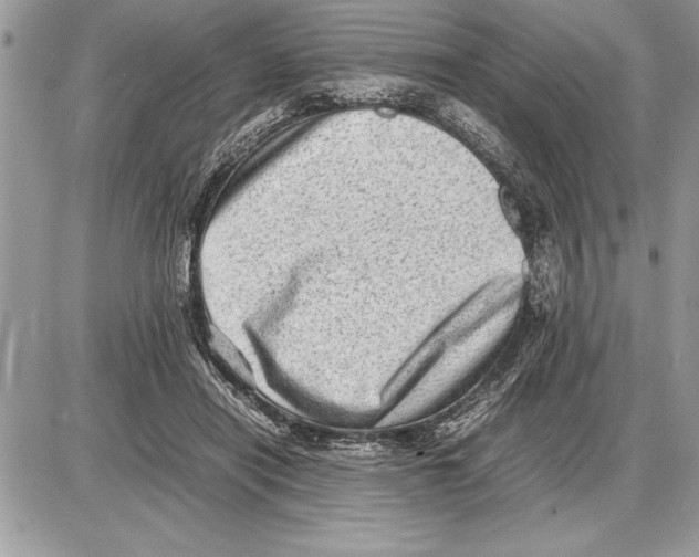 X0000085740454200704131649