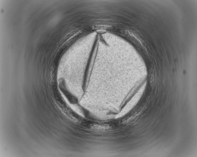 X0000085740455200704131649