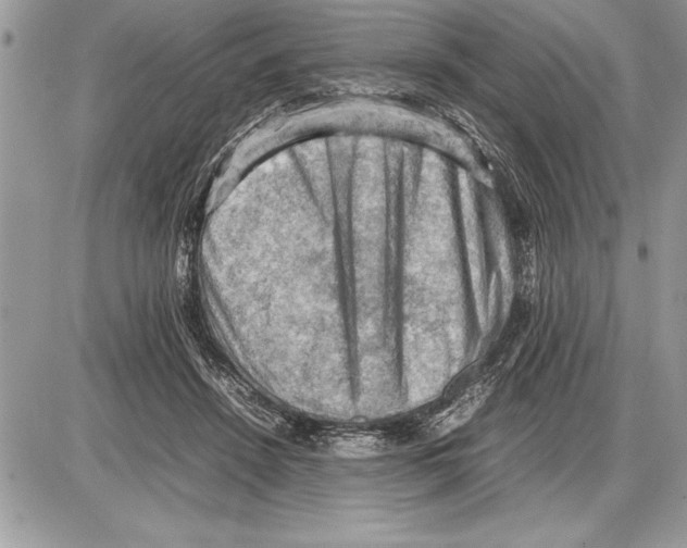 X0000085740456200704131649