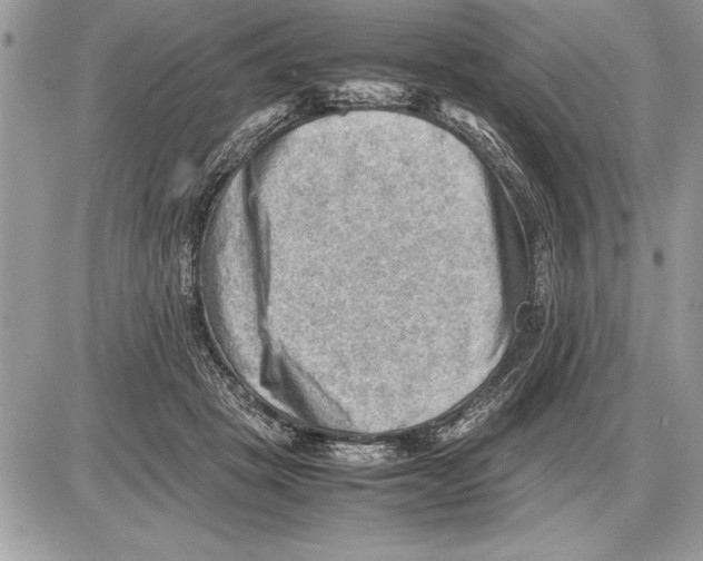 X0000085740457200704131649