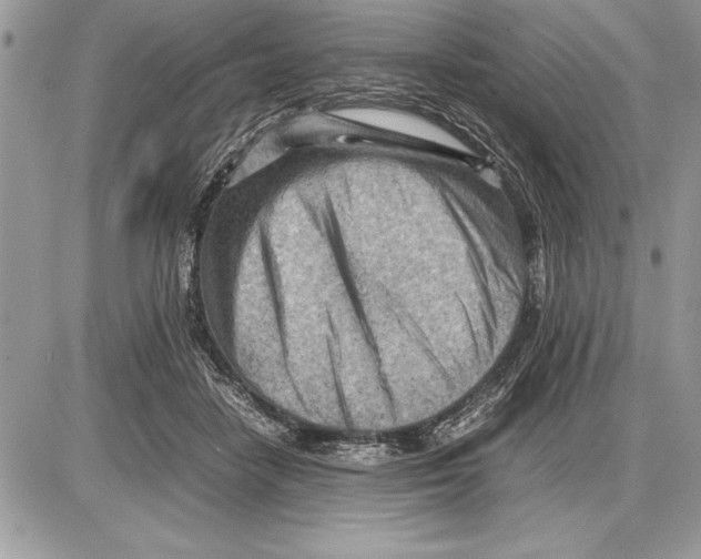 X0000085740458200704131649