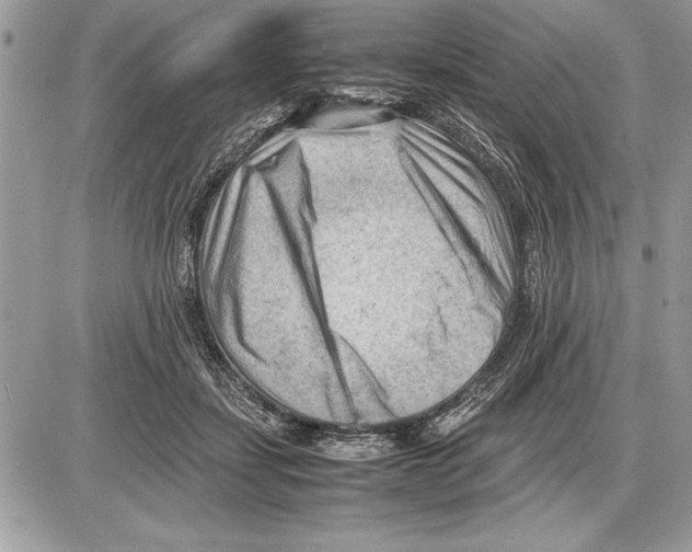 X0000085740459200704131649
