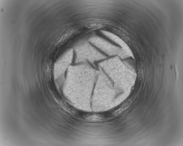 X0000085740460200704131649