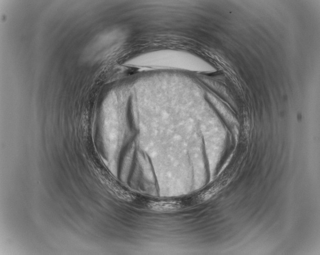 X0000085740461200704131649