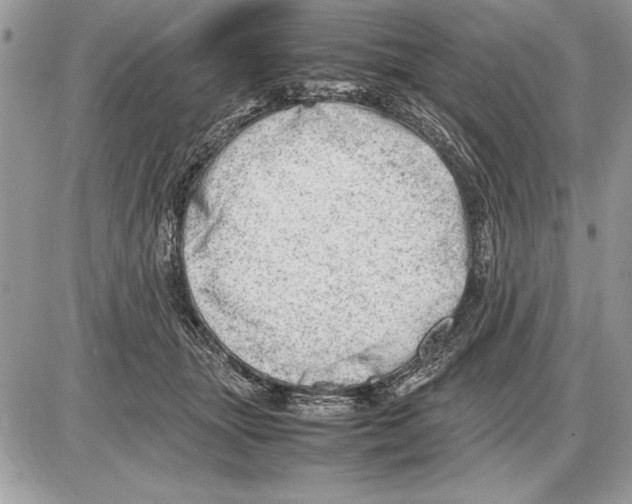 X0000085740463200704131649