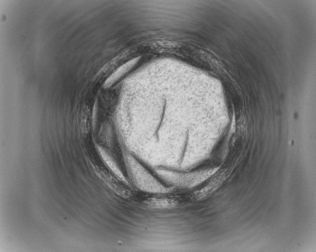 X0000085740464200704131649