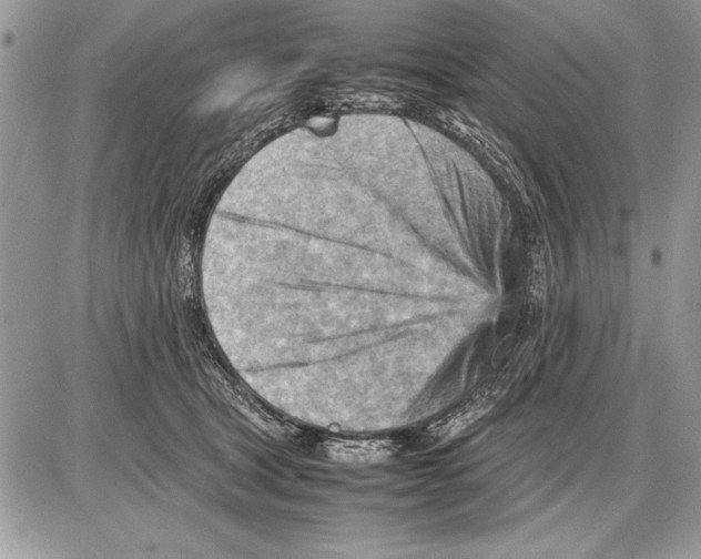 X0000085740465200704131649