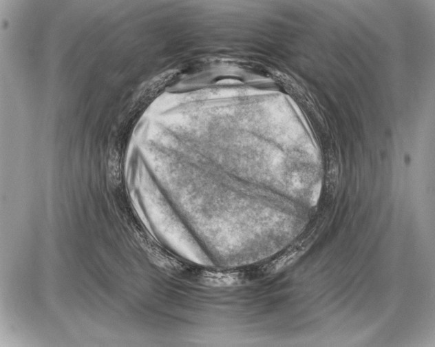 X0000085740469200704131649