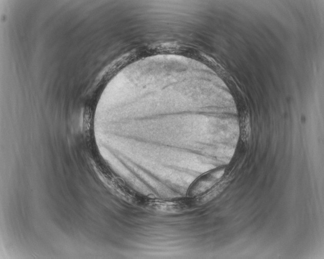 X0000085740472200704131649