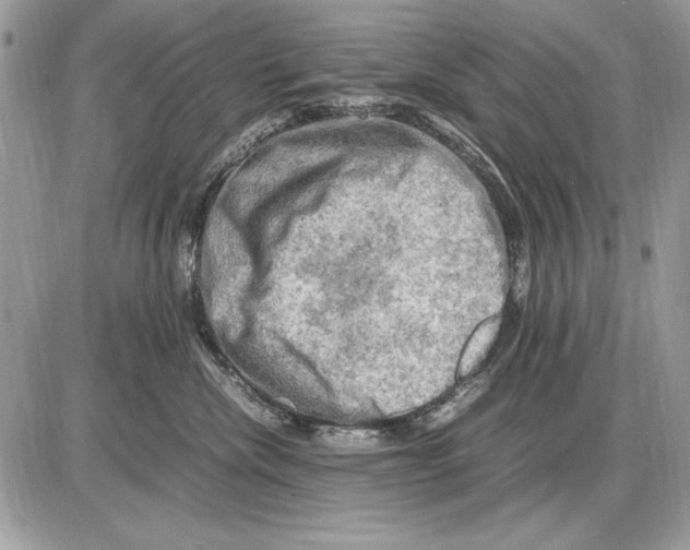 X0000085740476200704131649