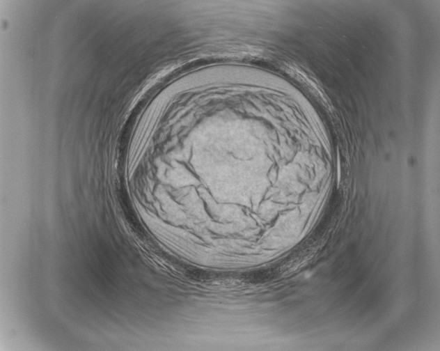 X0000085740483200704131649