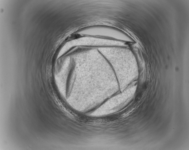 X0000085740485200704131649