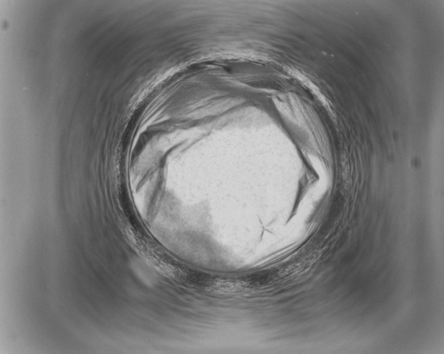 X0000085740487200704131649