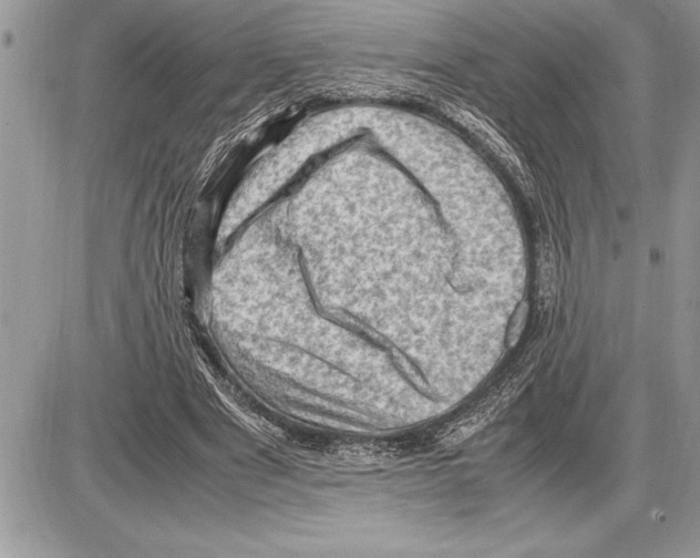 X0000085740489200704131649