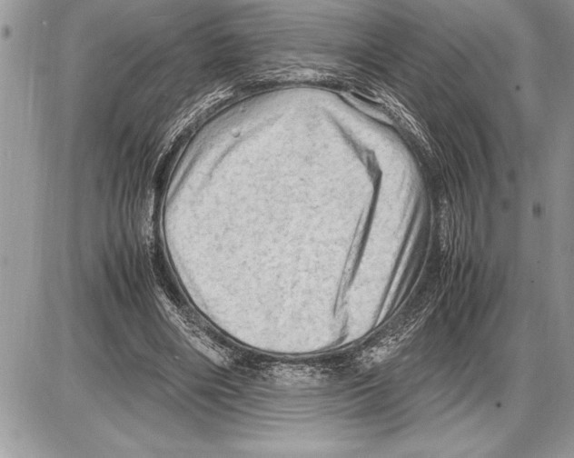 X0000085740490200704131648