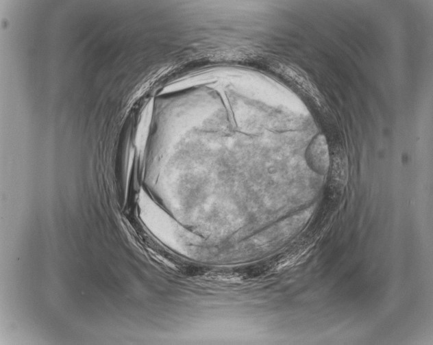 X0000085740491200704131648