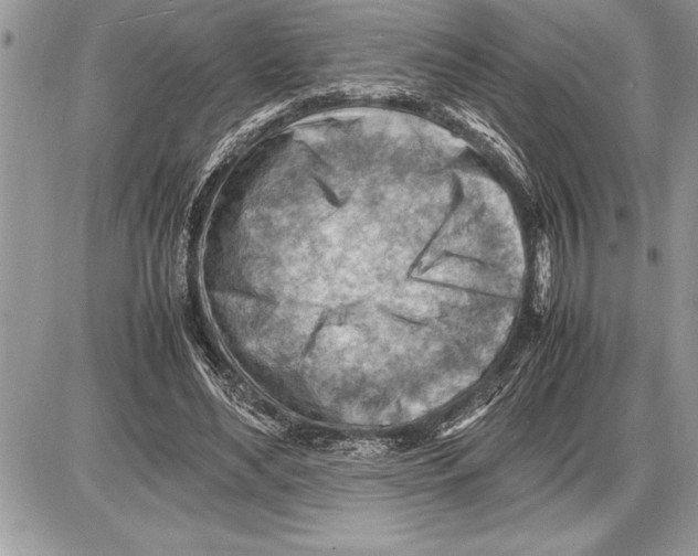 X0000085740492200704131648