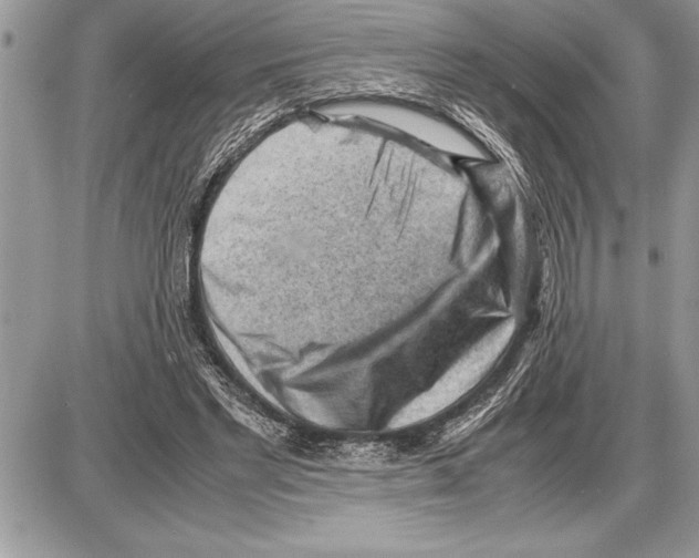 X0000085740493200704131648