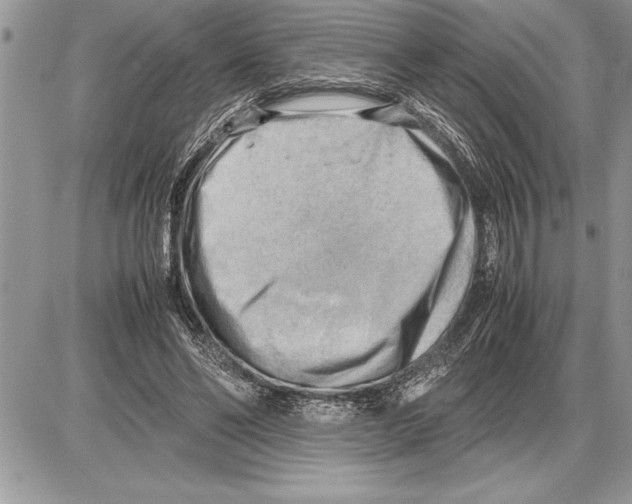 X0000085740494200704131648