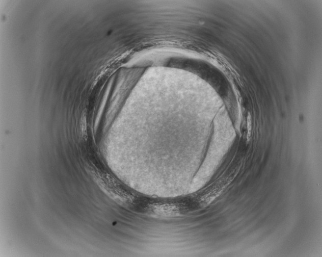 X0000085740500200704131648