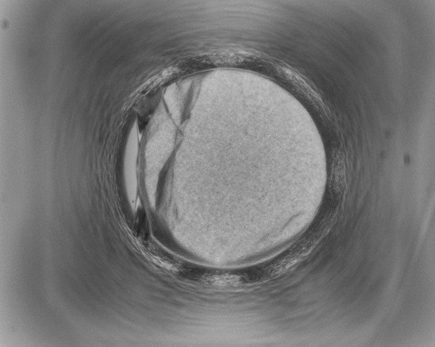 X0000085740501200704131648