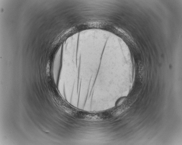 X0000085740502200704131648