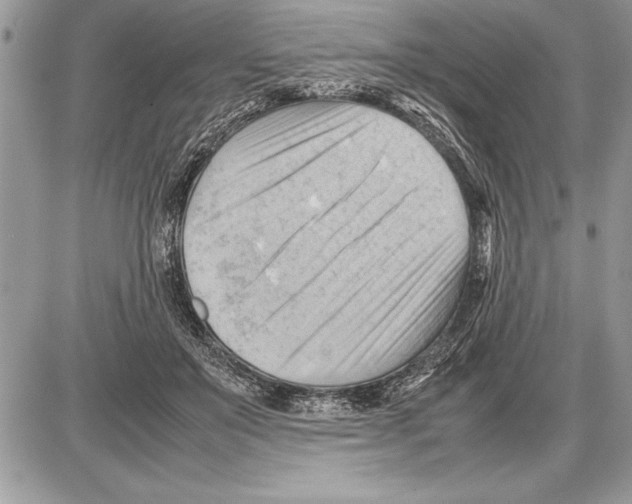X0000085740503200704131648