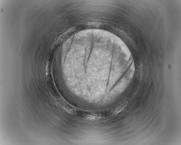 X0000085740504200704131648