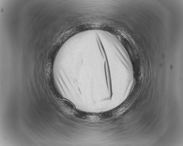 X0000085740509200704131648