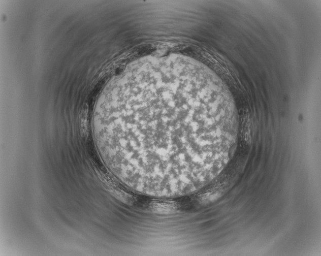 X0000085740510200704131648