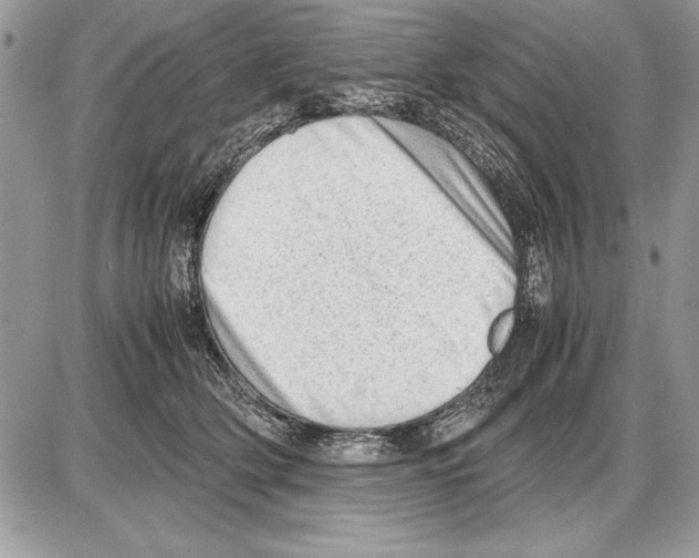 X0000085740514200704131648