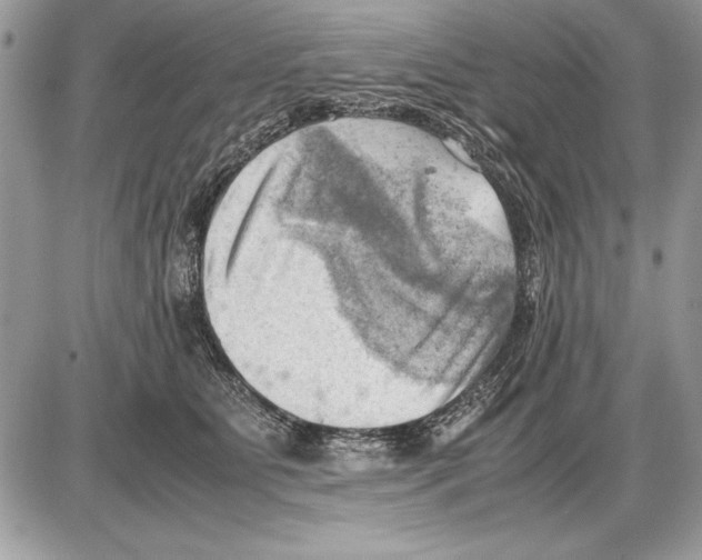 X0000085740515200704131648