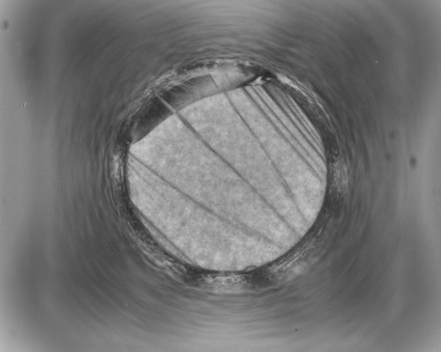 X0000085740517200704131648